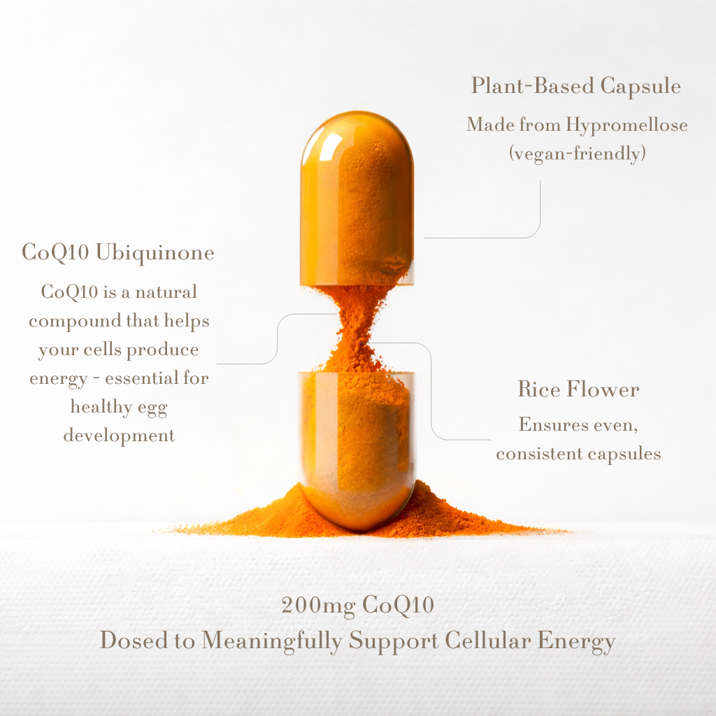 Ovéra Fertility Support