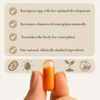 Ovéra Fertility Support
